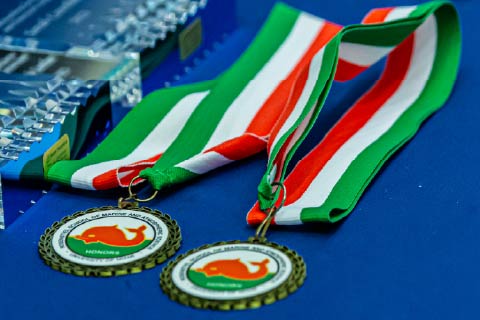 departmental honors medals and awards